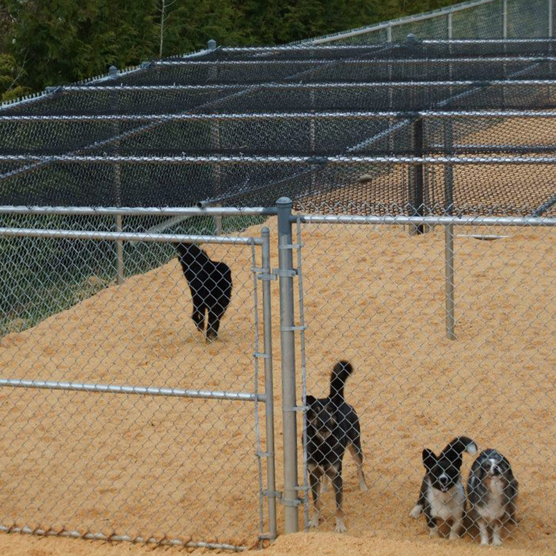 Pacific Northwest Kennels facility