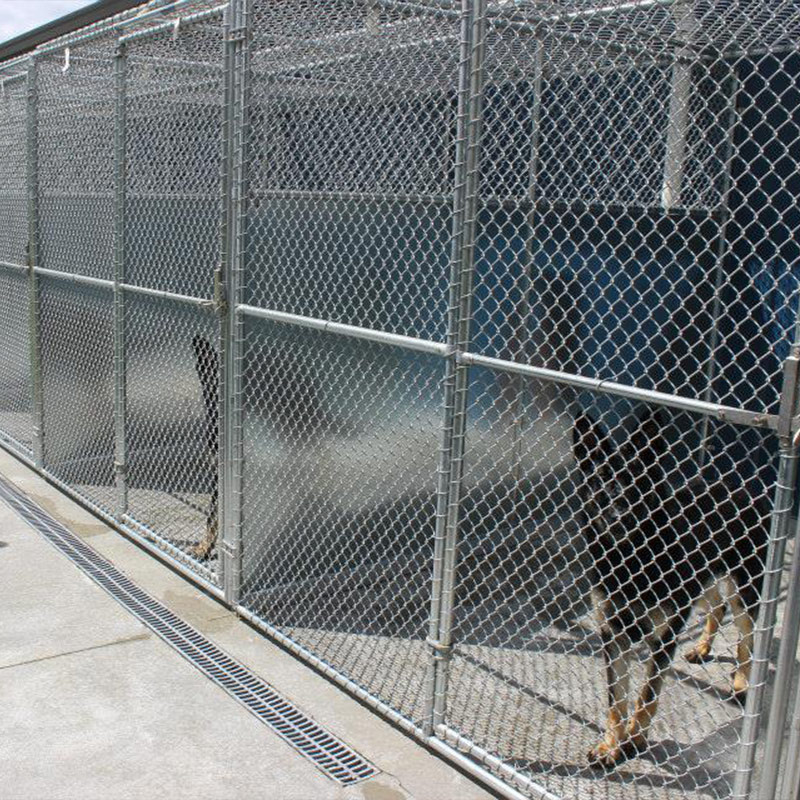 Pacific Northwest Kennels facility